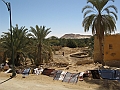 Oasi di Siwa_22